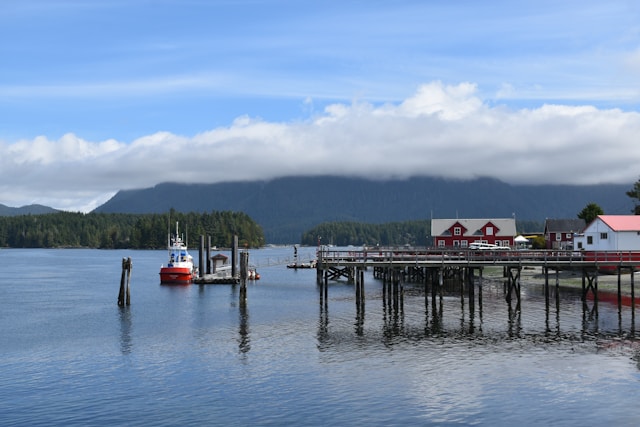 Tofino