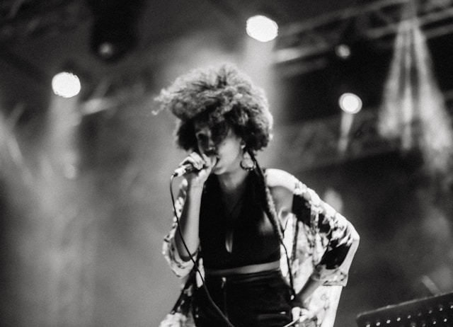 chanteuse noire americaine